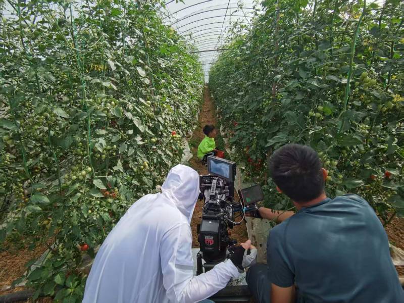 冷水江产品宣传视频拍摄公司进阶指南，助力品牌抢占传播高地